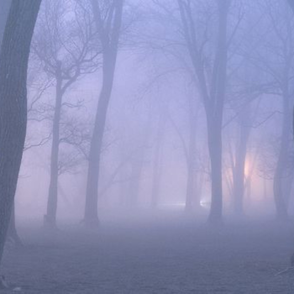 Meet your Posher, Ava